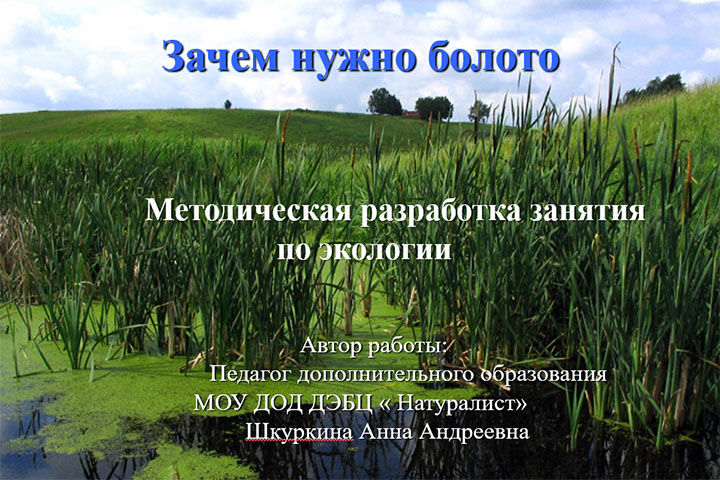 Люди на болоте кратко по главам. Зачем нужны болота. Необходимое болото. Почему надо охранять болота.