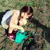 Проект «Нетрадиционные способы  выращивания картофеля»