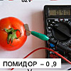 Проект «Фруктовая и овощная батарейка»