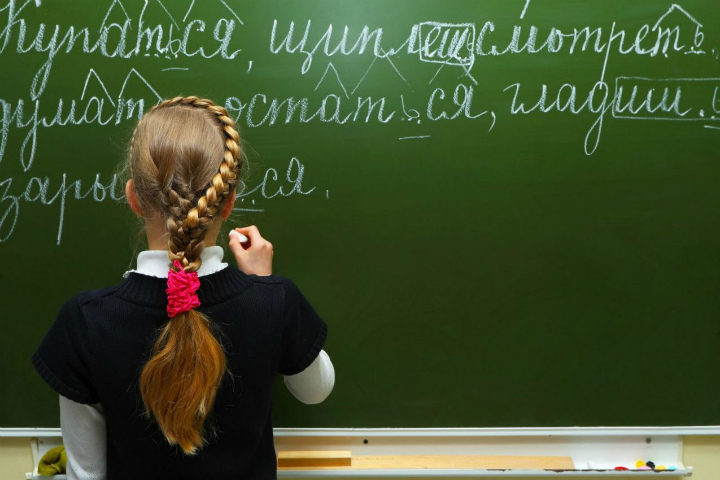 Проверочные работы по русскому языку: для чего они нужны