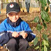 Экологический проект «Расту я – растет яблонька моя»