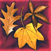 Праздник «Осенний листопад»